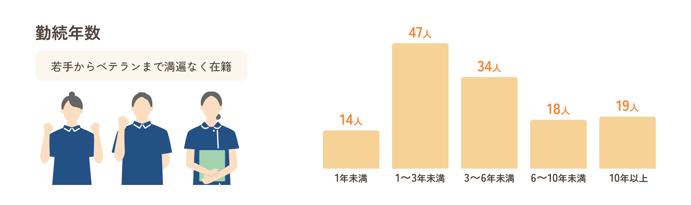 若手からベテランまで満遍なく在籍